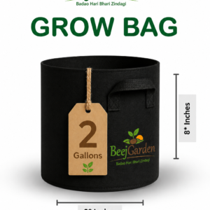 2 Gallon Grow Bag Without Handle