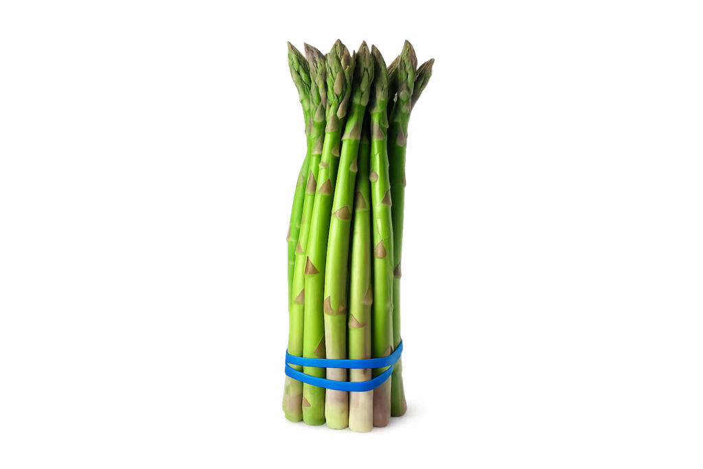 Asparagus (سفید موسلی) 10 Seeds