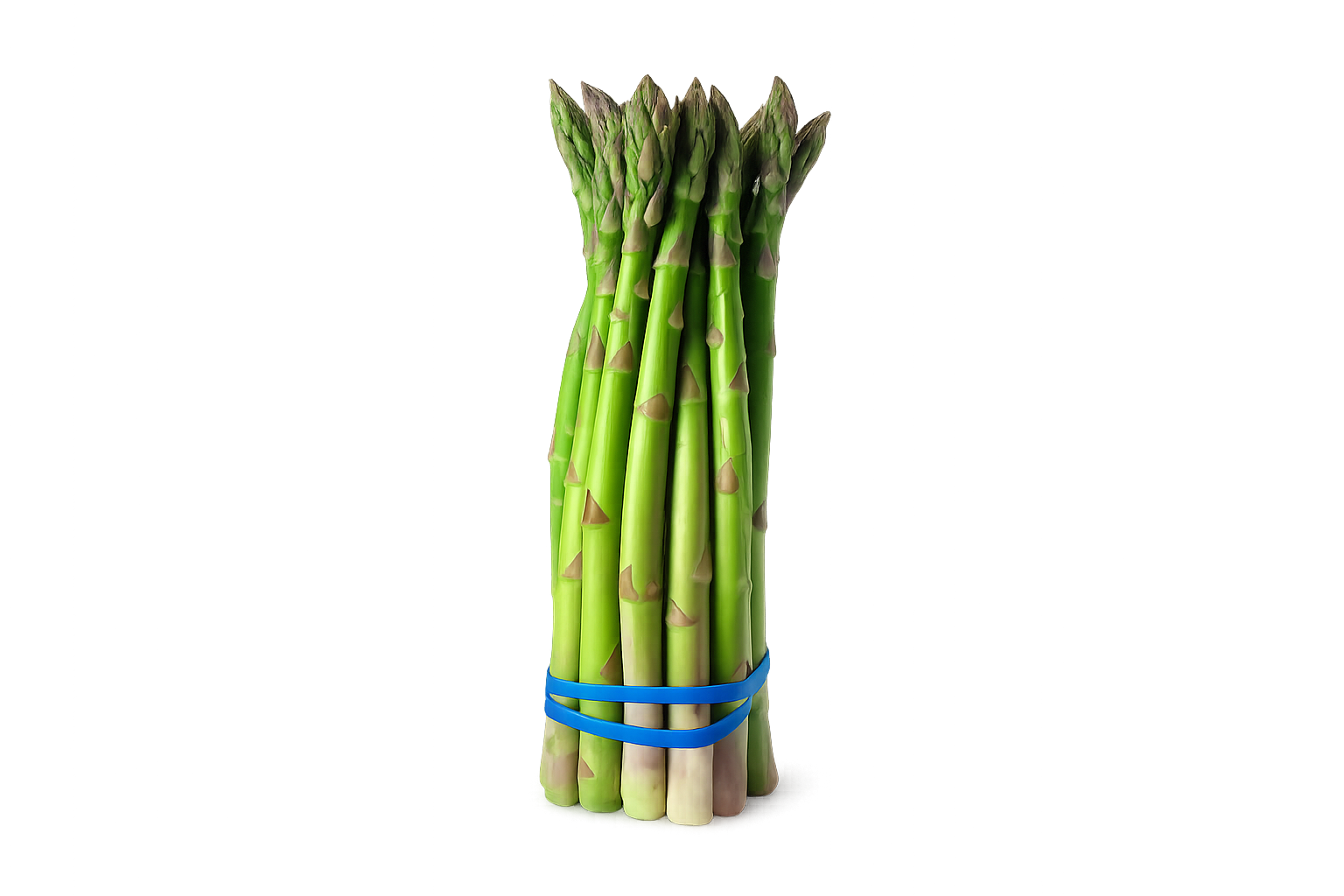 Asparagus (سفید موسلی) 10 Seeds