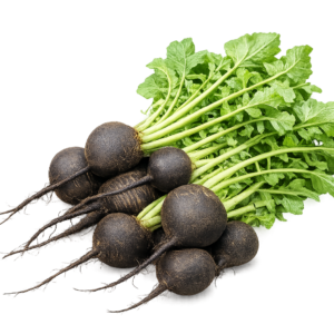 Black Radish 30+ Seeds