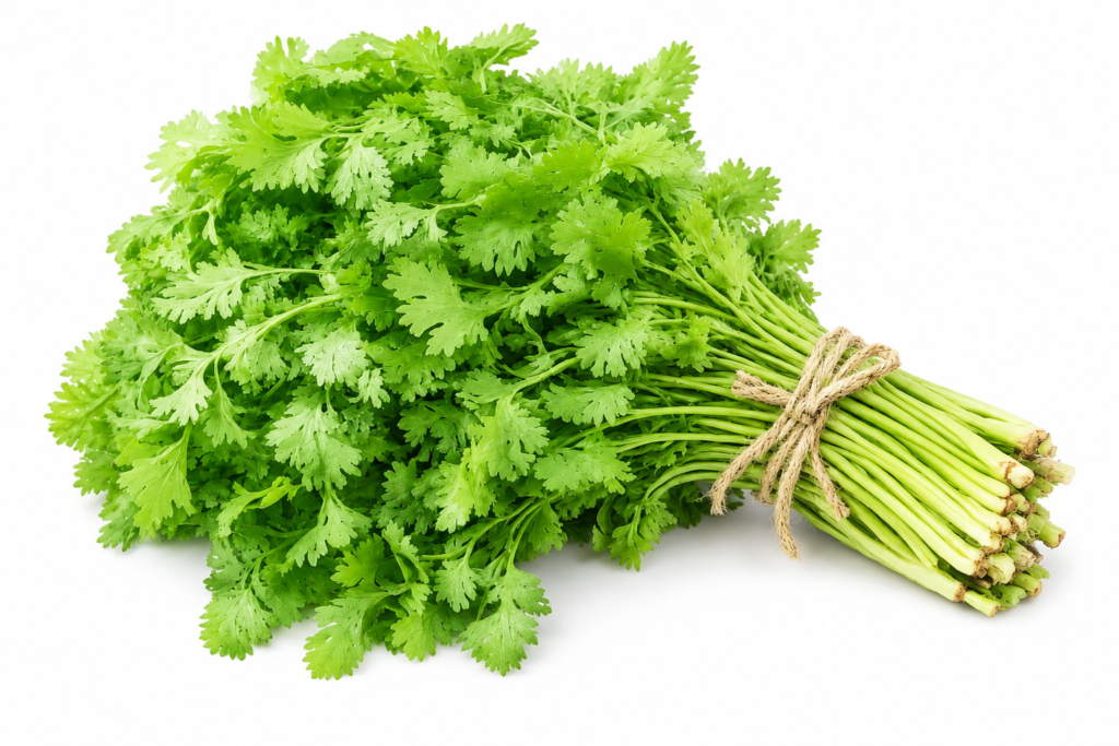 F1 Hybrid coriander (دھنیہ) 300+ Seeds