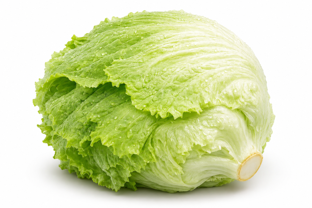 Iceberg (آئس برگ سلاد) 50+ Seeds
