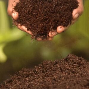 Cocopeat 800g