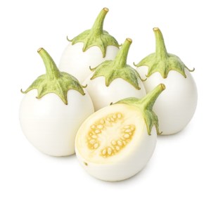 Eggplant Round (گول سفید بینگن) 20 Seeds