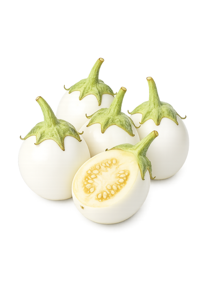 Eggplant Round (گول سفید بینگن) 20 Seeds