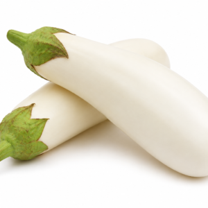 F1 Hybrid Bottle Eggplant (لمبا سفید بینگن) 15 Seeds