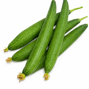 F1 Hybrid Ridge Gourd (کالی توری) 10 Seeds