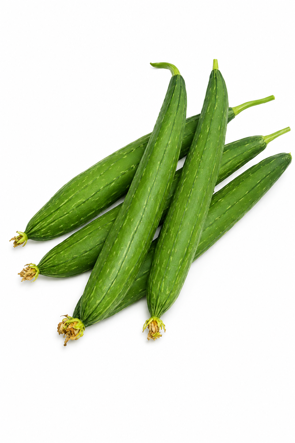 F1 Hybrid Ridge Gourd (کالی توری) 10 Seeds