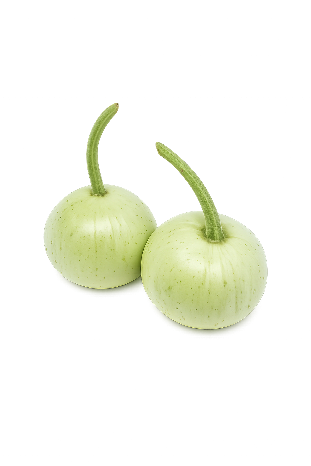 F1 Hybrid Round Gourd (گھیا کدو) 7 Seeds