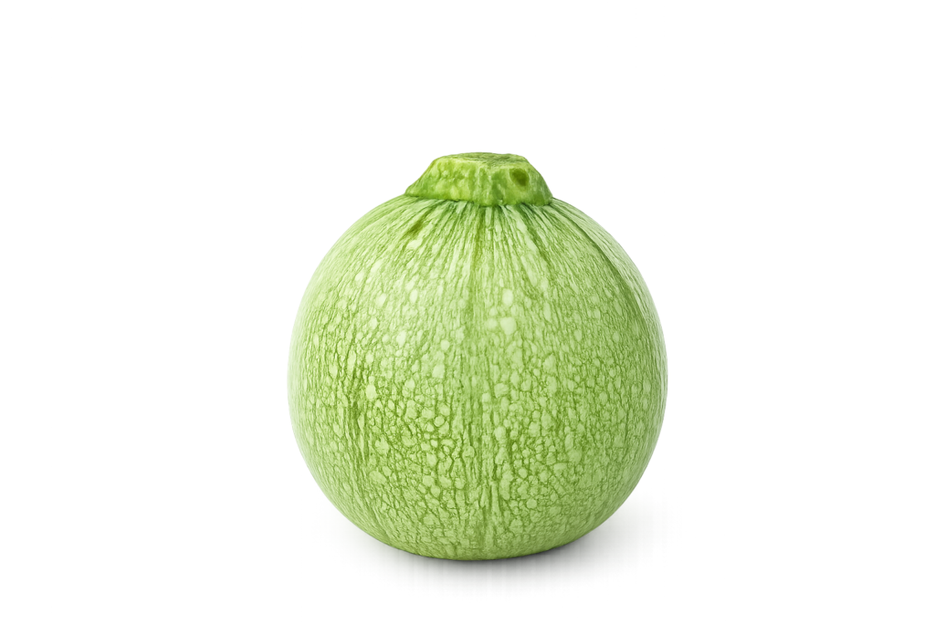 F1 Hybrid Round Squash (چپن کدو) 10 Seeds