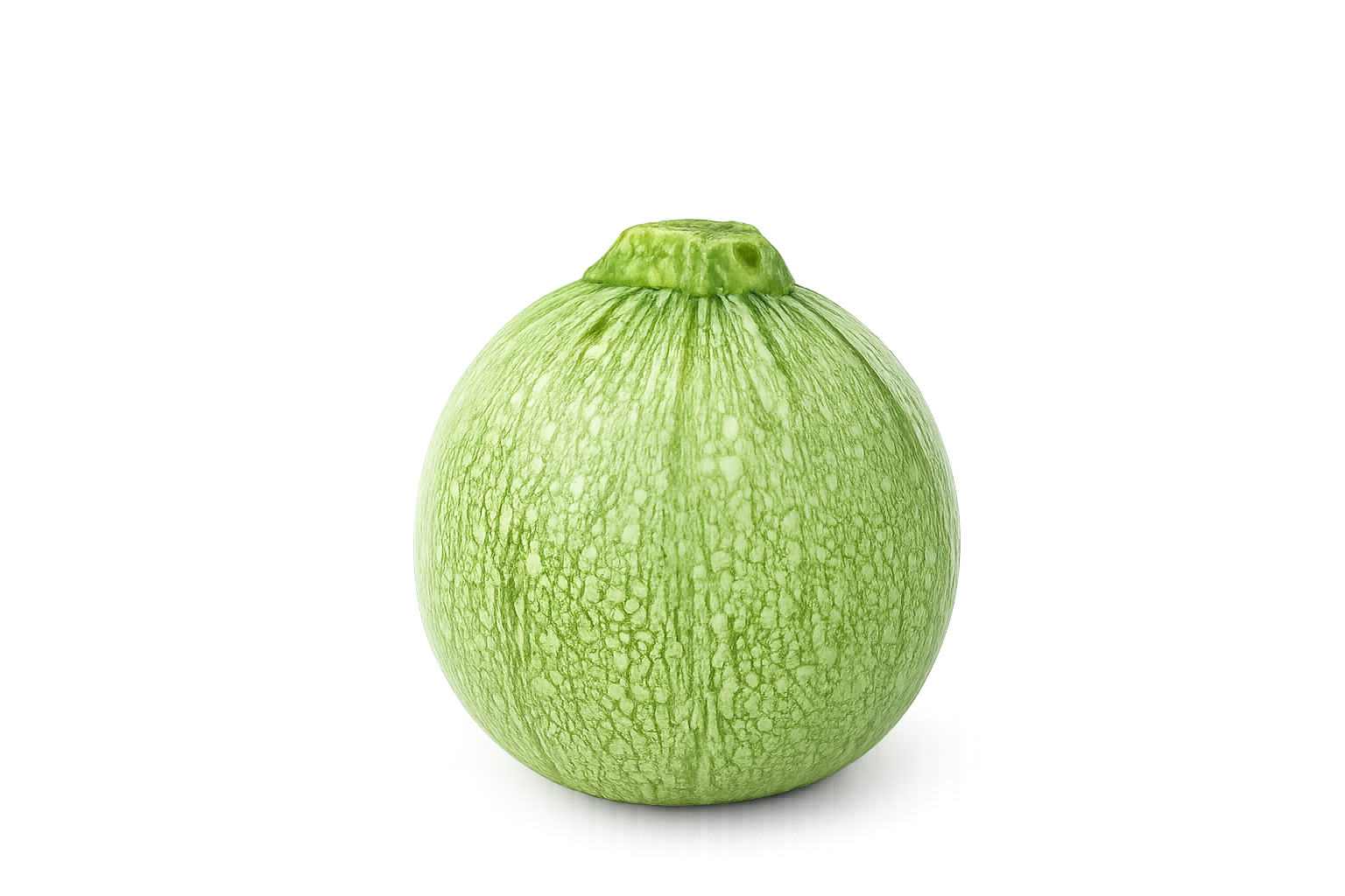 F1 Hybrid Round Squash (چپن کدو) 10 Seeds