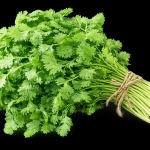 F1 Hybrid coriander (دھنیہ) 300+ Seeds