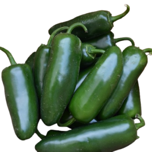 Green jalapeno (سبز جیلوپینو) 10+ Seeds
