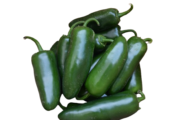 Green jalapeno (سبز جیلوپینو) 10+ Seeds