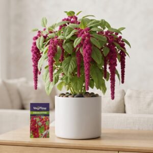Amaranthus - چولائی (Approx. 400+ Seeds)